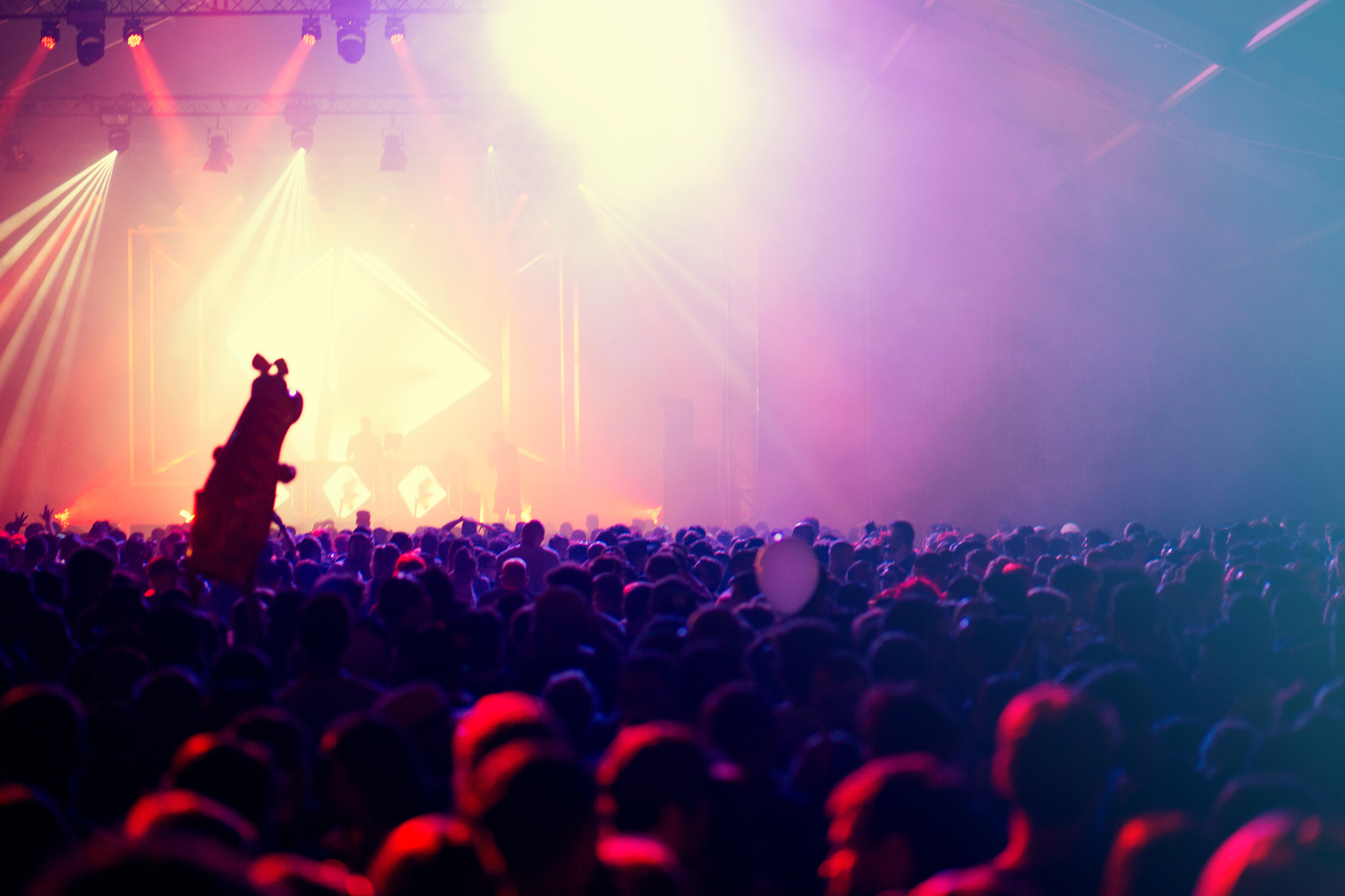 Concert crowd at summer festival